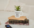 Silver Buffalo The Office World's Best Boss Decorative Artificial Faux Greenery Plant in Ceramic...