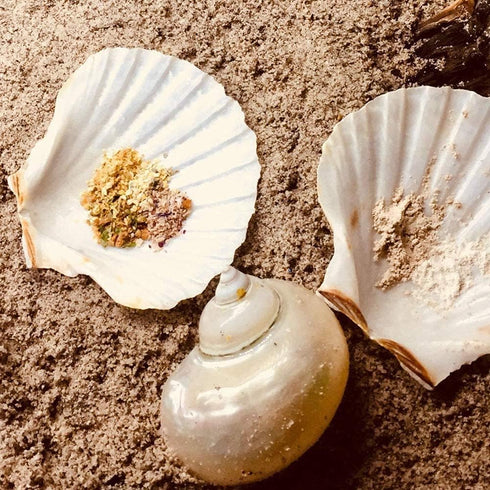 6PCS Scallop Shells for Serving Food,Baking Shells Large Natural White Scallops from Sea Beach for DIY Craft Decor 4-5 Inches...