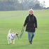 Dog Training Collar with 4 Extra Links for Medium, Large and X-Large Dogs (Blue)...