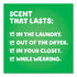 Gain Liquid Laundry Detergent, Original Fresh, 25oz Bottle...