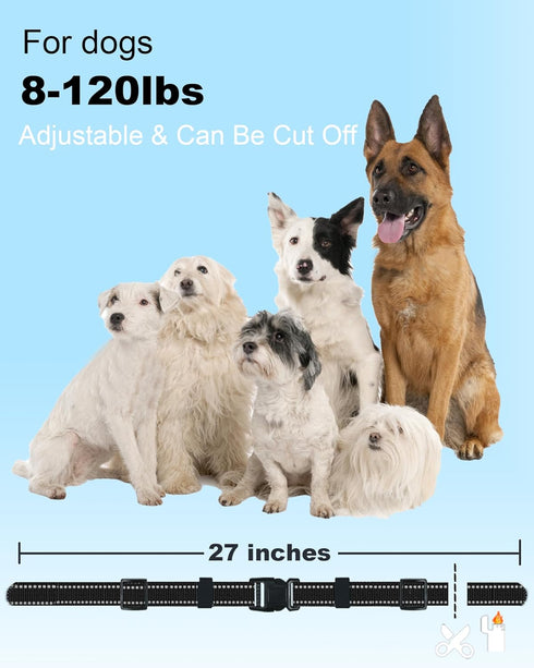 Collar Replacement Strap Compatible with Bousnic, Delupet, Patpet, Jugbow, Dogtra, Dog Care, Sportdog Field Trainer, Dog Training Collar Receiver...