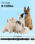 Collar Replacement Strap Compatible with Bousnic, Delupet, Patpet, Jugbow, Dogtra, Dog Care, Sportdog Field Trainer, Dog Training Collar Receiver...