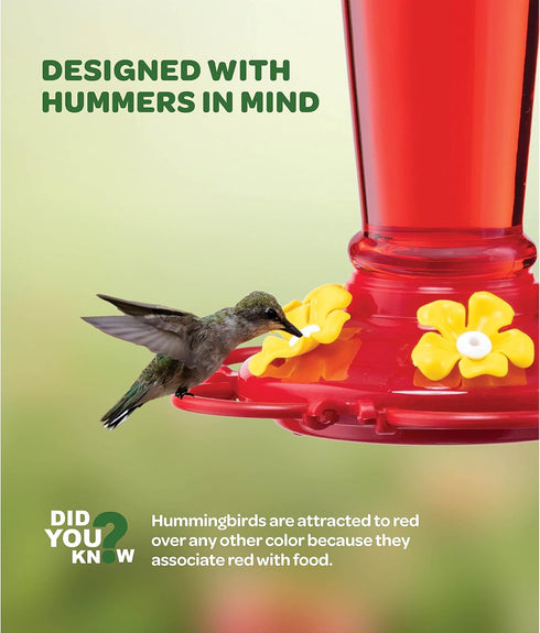 Hummingbird Feeder 10 oz. Plastic Hummingbird Feeders for Outdoors, with Built-in Ant Guard - Circular Perch with 5 Feeding Ports - Wide Mouth for...