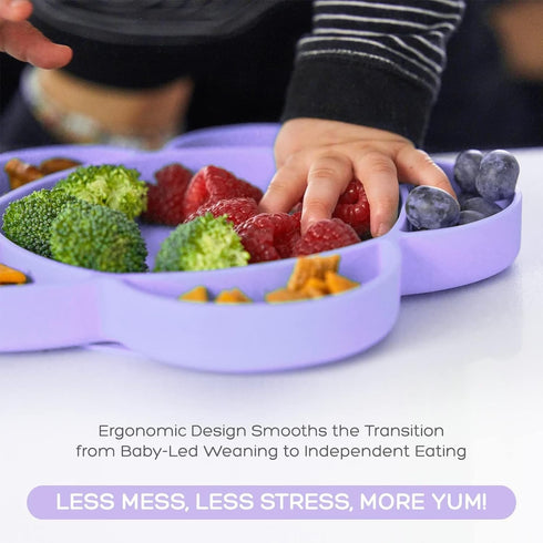 grabease Silicone Suction Plate for Baby & Toddler Self-Feeding, 6-Section Dish With Stay-Put Grip, BPA and Phthalates-Free, Dishwasher and Microw...