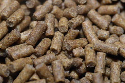 Aquarium Shrimp Food - Sinking Pellets for Aquatic Shrimp, Snail, Bottom Feeders - Complete Nutrition for Tropical Shrimp and Other Invertebrates...