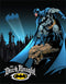 Batman Dark Knight Metal Tin Sign...