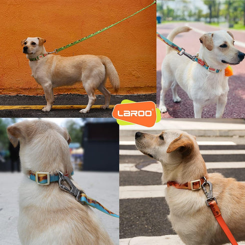LaRoo Waterproof Dog Collar Heavy Duty PVC Pet Collars for Training, Cool Design & Pull Resistance Neckband for Pool Party Beach Outdoor Playing...