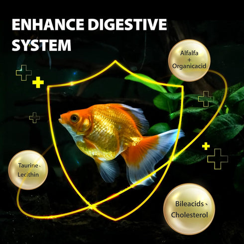 Purify Series for Goldfish Food, Sinking Gold Fish Pellets, All Natural Ingredients, Balanced Composition of fish food, Good for Fins Grow and Col...