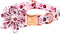 Lionheart glory Dog Collar, pink Dog Flower Collar for Female Dogs Collar with Flower Adjustable Flower Collar Cute Patterns for Small Dogs Pet Gi...