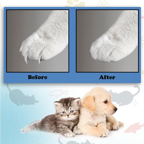 kathson 6 Pcs Cat Nail File Scratcher,Cats Scratch Stickyback Sandpaper Replacement Dog Nail Paw Scratch Pad with Hanging Hole Nail Files Scratchi...