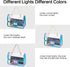Clear Purse for Women, Fashion Crossbody Clutch Handbag Cute, Small See Through Bag...