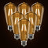 LED Dimmable Edison Light Bulbs 4W, 2700K Warm White (Amber Glass) ST58, E26 Base Pack of 6...