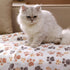 Luciphia 1 Pack 2 Pet Blankets for Dogs Cats, Fleece Print Dog Cat Blankets for Small Medium Large Puppy Kitten, Paw Brown White Small (23x16 inch...