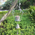 Bird Feeder Hanging Tray, Seed Tray for Bird Feeders/Bird Bath, Outdoor Garden Backyard Decorative Great for Attracting Pet Hummingbird Feeder...