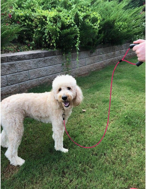 5 ft Dog Tie Out Cable Leash with Coated Steel Cable and Soft Padded Handle Dog Leashes for Medium Dog (Pink)...