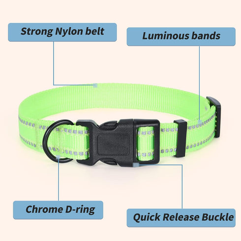 Mile High Life | Nylon Night Light Glow Collar for Medium Dogs | Reflective Band Cat Collar | Fluorescence self-Luminescence Strap Puppy Collar | ...