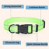 Mile High Life | Nylon Night Light Glow Collar for Medium Dogs | Reflective Band Cat Collar | Fluorescence self-Luminescence Strap Puppy Collar | ...