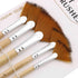 5 in 1 Fan Paint Brushes Kit Professional Artist Acrylic Paint Brushes Set for Watercolor, Acrylics, Ink, Gouache, Oil, Tempera Painting...