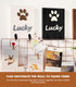 ANZOME Dog Leash Holder for Wall Decorative - Dog Leash Holder - 3D Dog Claw Key Holder Wall Mount Decor with 2 Hooks for Key and Leash Rack Hange...