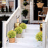 GREENRAIN 6 Bundles Artificial Daisy Flowers Outdoor Fake Flowers for Decoration No Fade Faux Plastic Flower Garden Porch Window Box Décor (Yellow...