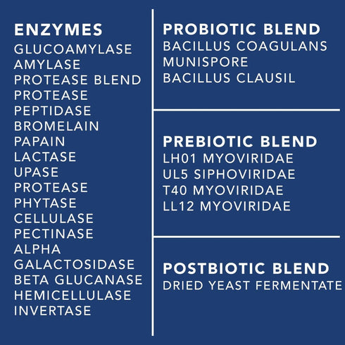 4-in-1 Prebiotic Probiotic & Postbiotic for Women & Men, Complete Gut & Digestive Support Supplement, Pre Post Probiotics & Digestive Enzymes 60 c...
