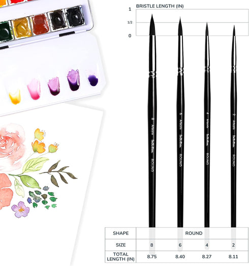 ARTEGRIA Watercolor Brush Set, 4 Professional Pointed Round Soft Synthetic Squirrel Paint Brushes, Sizes # 2, 4, 6, 8...