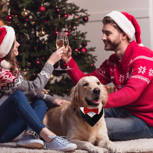 1 Piece Red Formal Dog Tuxedo Bandana, Dog Tuxedo Cotton Bandana Dog Wedding Collar with Bow Tie and Neck Tie for Dogs and Cats, L...