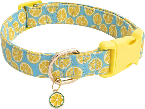 Faygarsle Cute Dog Collar for Girls Boy Dogs Soft Fancy Pet Collar with Lemon Design Ideal Yellow Green Summer Dog Collar for Small Medium Large D...