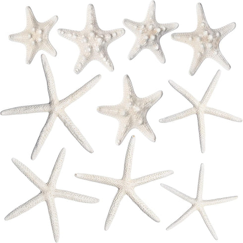 Nautical Crush Trading Starfish & Knobby Starfish Decor - (5) White Starfish 4-6" and (5) Knobby Starfish 2-3.5" - Beach Wedding Decor - Coastal P...