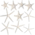 Nautical Crush Trading Starfish & Knobby Starfish Decor - (5) White Starfish 4-6" and (5) Knobby Starfish 2-3.5" - Beach Wedding Decor - Coastal P...