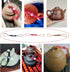 6 Pack Teapot Rope Hand-Woven Glass Kettle Ropes Ceramic Teapots Lid Anti-drop Cord Wire Yixing Clay Pot Handle Tied Rope Anti-fall Lids Ropes Por...