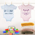 25 Pack Stencils for Baby Shower?Mixed Animals Pattern Painting Stencils Baby Shower Onesie Decorating Reusable Templates for Painting on Fabric B...