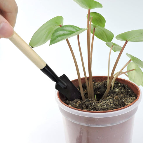 Andiker Mini Gardening Tools, 3pcs Portable Garden Hand Tools Set, Miniature Gardening Rake Trowel and Shovel for Seedlings, Bonsai, Succulents, H...