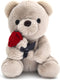 9.8'' Teddy Bear with Rose, Soft Plush Bear Doll Stuffed Animals Toys Valentines Day Decor Gifts for Her/Girlfriend Lover Mom Kids (Gray)...