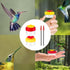 Handheld Hummingbird Feeders, 2pcs Hummingbird Hand Feeder, Hand Hummingbird Feeders, Hummingbird Feeder Handheld with Cleaning Brush for Outdoor ...