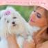 100 Pieces Dog Bows Cute Dog Puppy Hair Bows Multicolor Girl Dog Accessories Small Dog Hair Bows Bowknot Puppy Bows with Strong Rubber Bands and R...