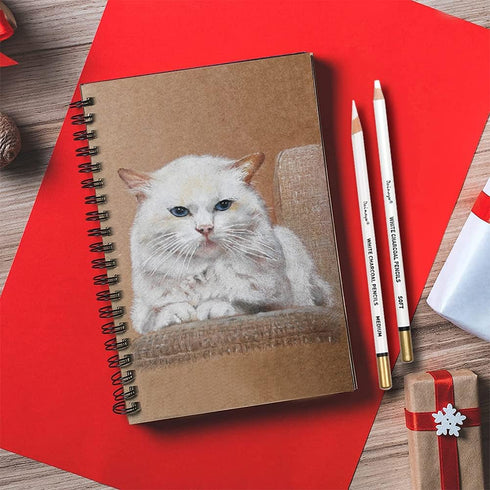 dainayw 6 Pcs White Charcoal Pencils Drawing Set, Professional Smooth Soft & Medium Sketching Pencil Art Supplies for Drawing, Highlighting, Sketc...