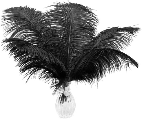 12pcs Natural Black Ostrich Feathers 12-14inch (30-35cm) for Wedding Party Centerpieces?Flower Arrangement and Home Decoration....