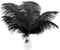 12pcs Natural Black Ostrich Feathers 12-14inch (30-35cm) for Wedding Party Centerpieces?Flower Arrangement and Home Decoration....