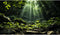 Green Forest Aquarium Background Trees Leaf Sunlight Water Mountain Terrarium Background Tranquil Scene Reptile Habitat Background Fish Tank Backg...