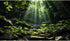 Green Forest Aquarium Background Trees Leaf Sunlight Water Mountain Terrarium Background Tranquil Scene Reptile Habitat Background Fish Tank Backg...