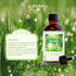 SALKING After Rain Fragrance Oil, 120ml (4 Fl Oz) Premium Fragrance Oils for Diffuser, Candle Scents for Candle Making, Soap Making Supplies, Diff...