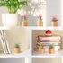 Set of 6 Wood Air Plant Holder- Rustic Style Air Plant Pots Indoor Decorative Air Plants Display Containers Table Centerpiece for Home Office Tabl...