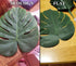 OurWarm 24pcs Large Artificial Tropical Palm Leaves, Faux Safari Leaves Monstera Fake Leaves, Hawaiian Luau Party Jungle Beach Theme Decorations f...