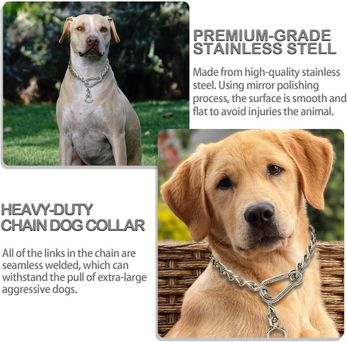 Dog Chain Collars 304 Stainless Steel Metal Chew Proof Dog Necklace Anti Winding Dog Leash Extension Lead for Small Medium Large Dogs Training and...