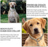 Dog Chain Collars 304 Stainless Steel Metal Chew Proof Dog Necklace Anti Winding Dog Leash Extension Lead for Small Medium Large Dogs Training and...
