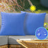 Outdoor Waterproof Throw Pillow Covers 16X16 Set of 2 Decorative Cobalt.Blue Patio Furniture Cushion Cases Outside Decor for Couch Garden Bench Po...