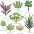 Augshy Artificial Succulents, 16 Pack Fake Succulents Plants Artificial Small Fake Plants Faux Succulents Unpotted for Lotus Landscape Decorative ...