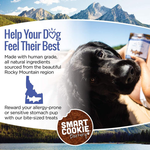 All Natural Dog Treats - Trout & Apple - Training Treats for Dogs & Puppies with Allergies or Sensitive Stomachs - Soft Dog Treats, Grain Free, Ch...
