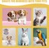 Dog Nail Polish Pens Quick Dry,12 Colors Pet Nail Polish Kit for Dogs,Cats or Birds,Dog Safe Nail Polish and Easy to Apply,Nail Polish Pens for Do...